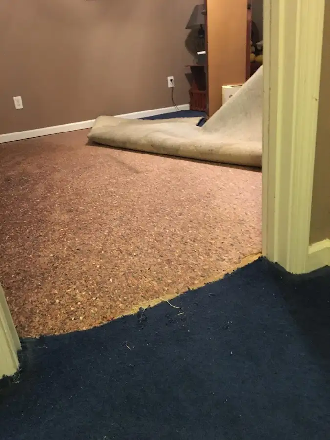 Carpet pad removal revealing water damage during Drying & Dehumidification in Edgemere