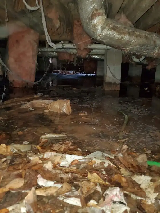 Crawl space flood assessment for Commercial Water Damage Restoration in Edgemere